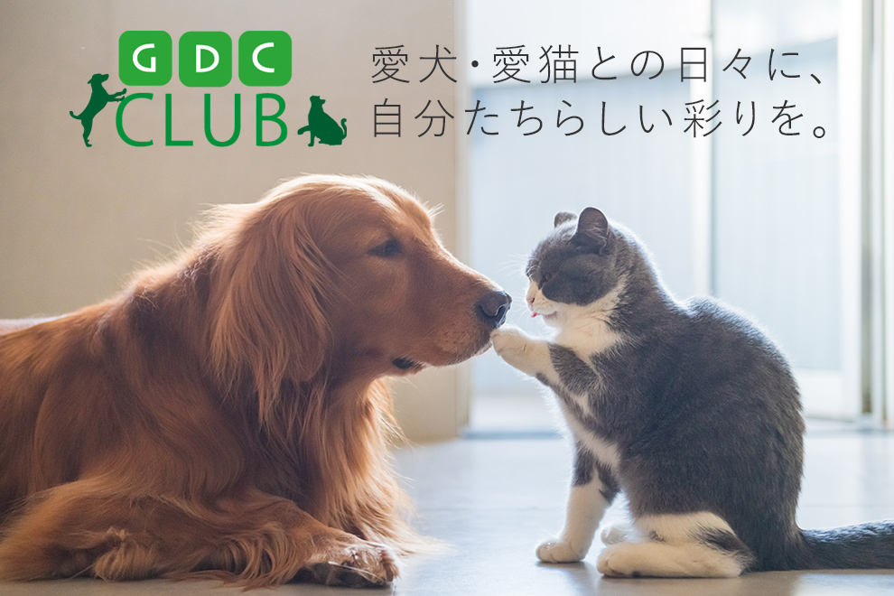 GDC CLUB つながる喜び 広がる楽しさ