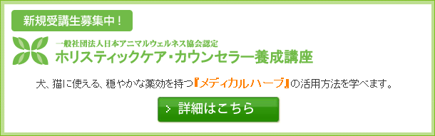 犬、猫に使える、穏やかな薬効を持つ『メディカルハーブ』の活用方法を学べます。