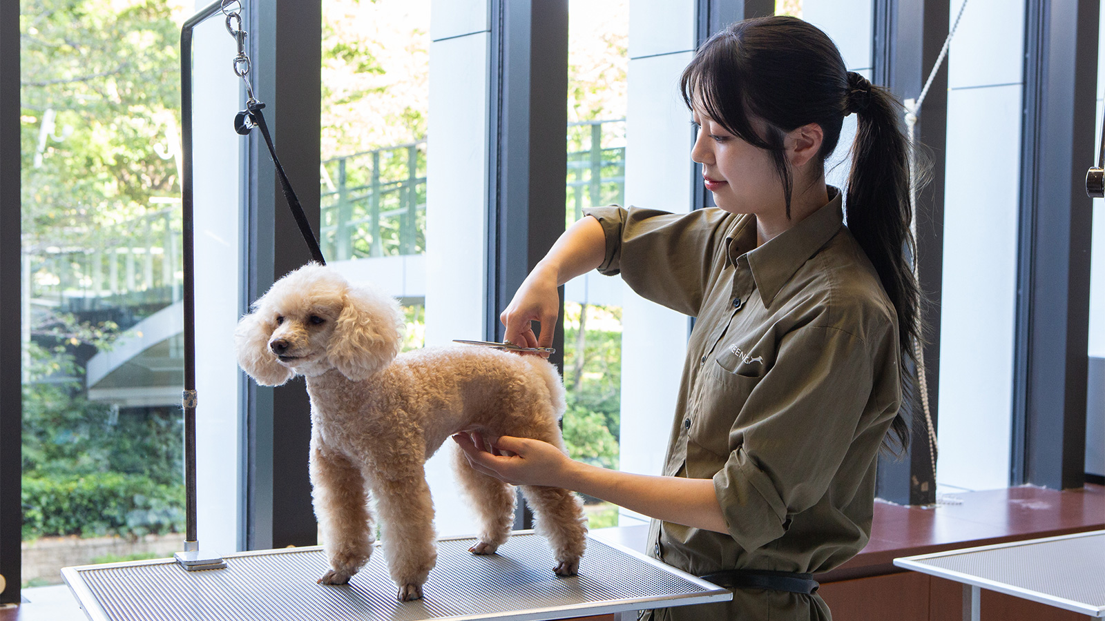 GREEN DOG & CAT 東京ミッドタウン店内