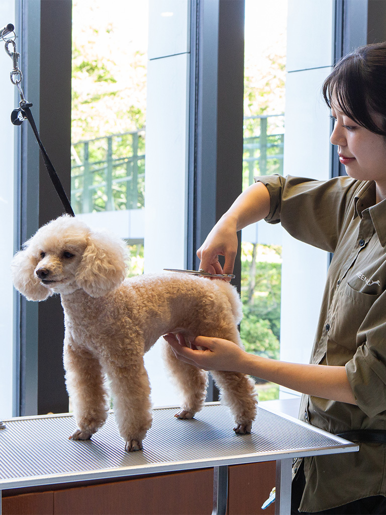 GREEN DOG & CAT 東京ミッドタウン店内