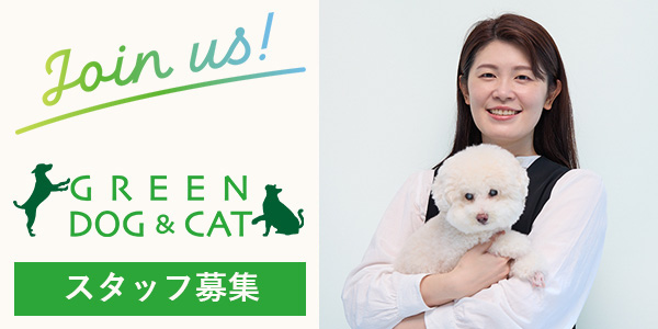 GREEN DOG & CAT 店舗スタッフ募集