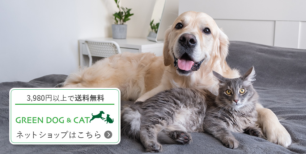 3,980円以上で送料無料 GREEN DOG & CAT(グリーンドッグ & キャット)ネットショップはこちら