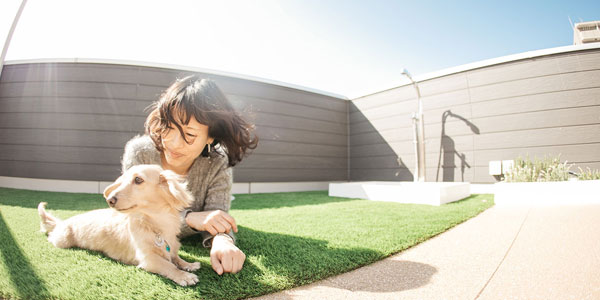 屋上プライベートDOG GARDEN