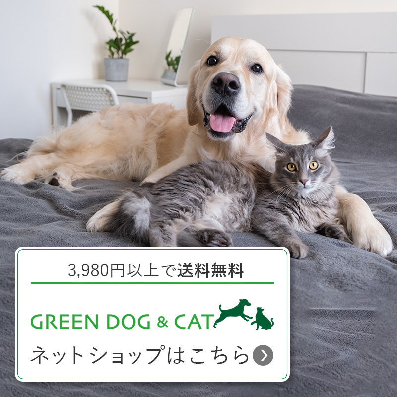 3,980円以上で送料無料 GREEN DOG & CAT(グリーンドッグ & キャット)ネットショップはこちら